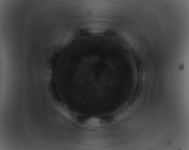 X0000102480227200808081312