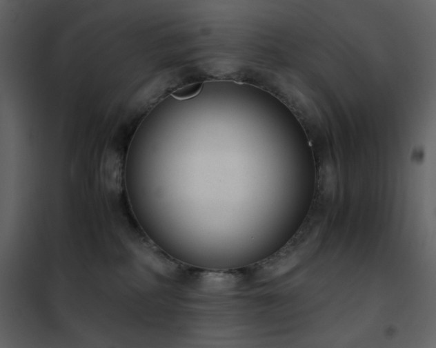 X0000102480234200808081312