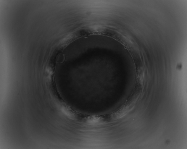 X0000102480235200808081312