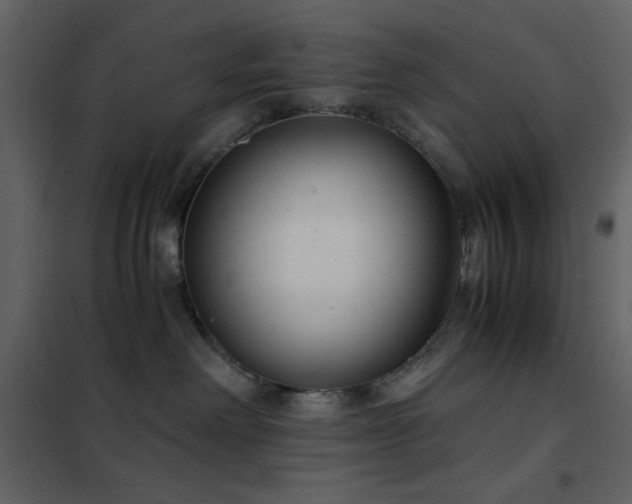 X0000102480238200808081312