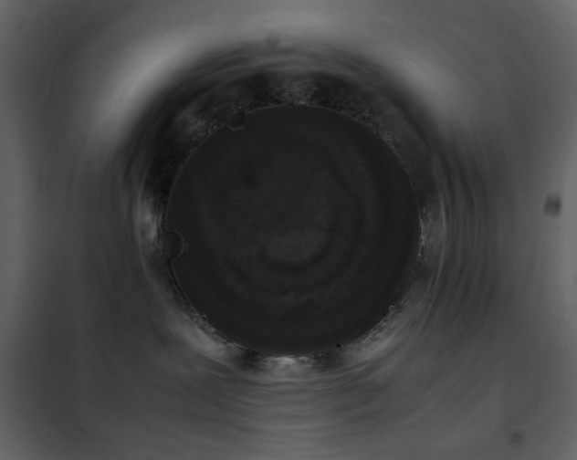 X0000102480239200808081312