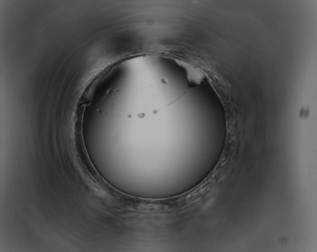 X0000102480242200808081311