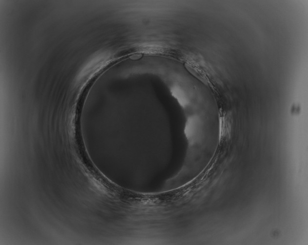 X0000102480243200808081312