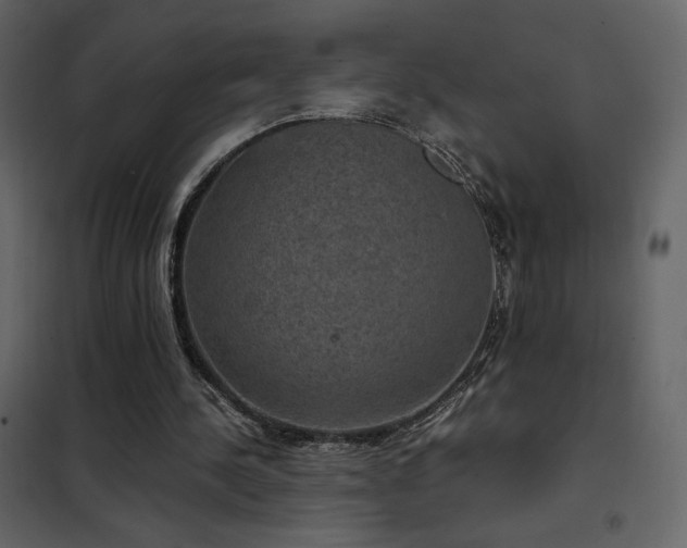 X0000102480244200808081312