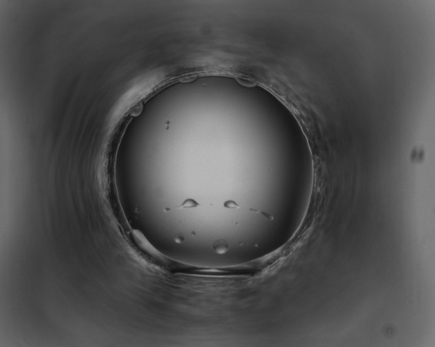 X0000102480245200808081312