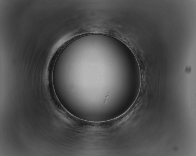 X0000102480246200808081312