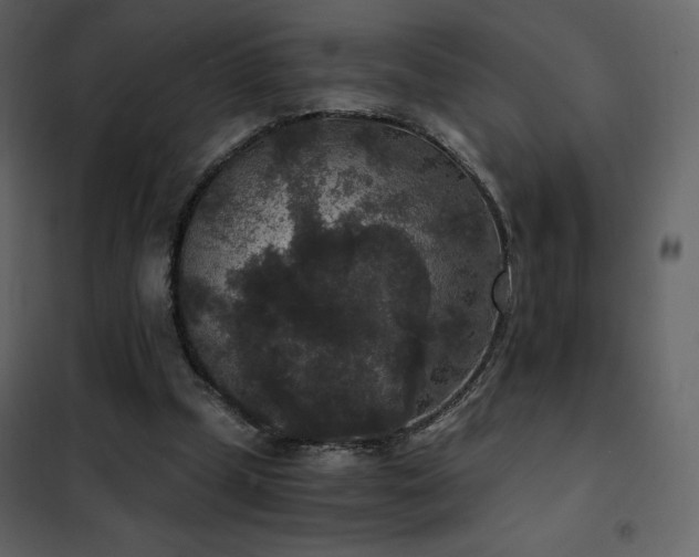 X0000102480249200808081312