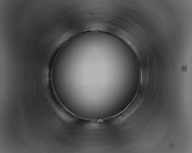 X0000102480253200808081312