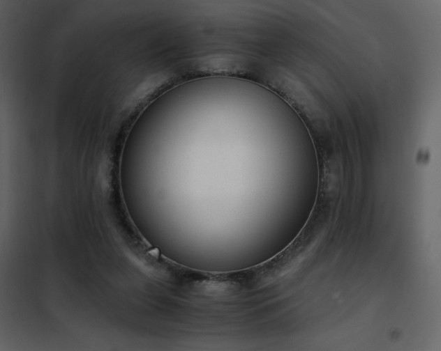 X0000102480255200808081312