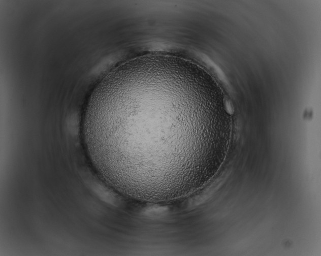 X0000102480257200808081312