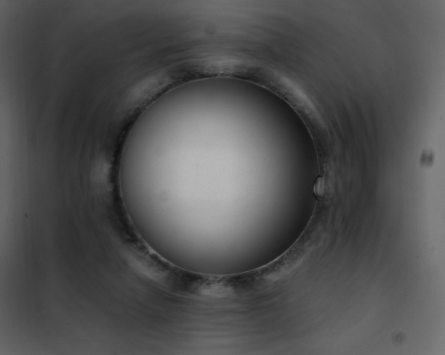 X0000102480258200808081312