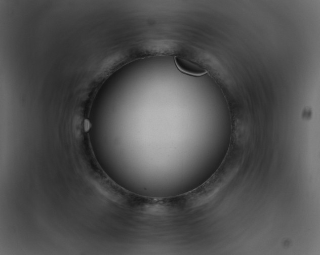 X0000102480259200808081312