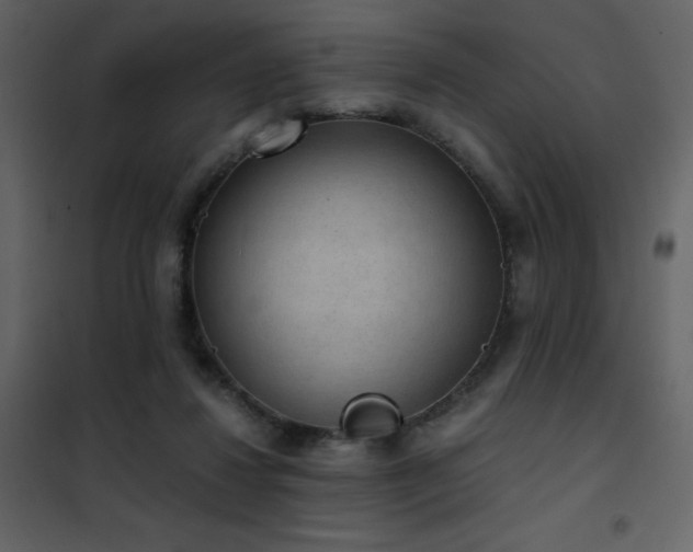 X0000102480260200808081312