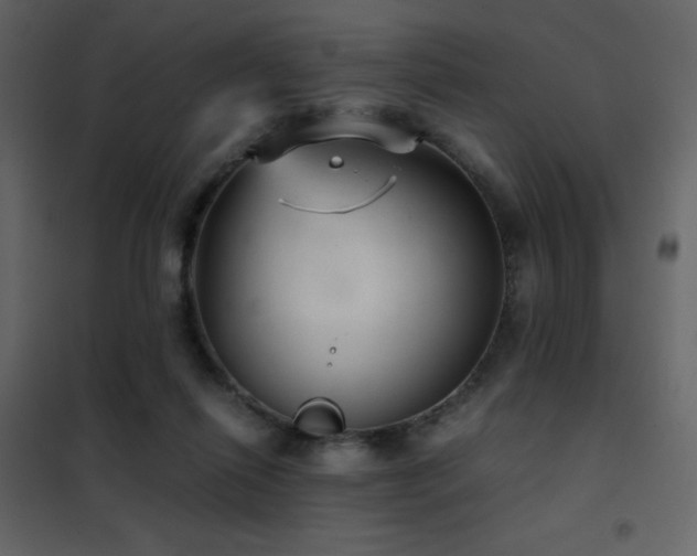 X0000102480262200808081312