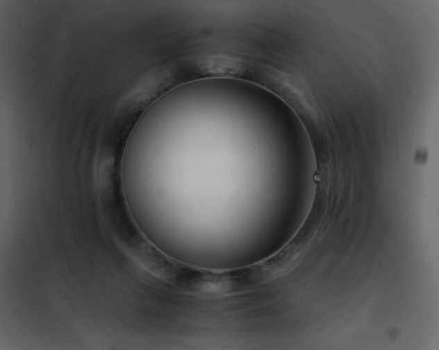 X0000102480263200808081312