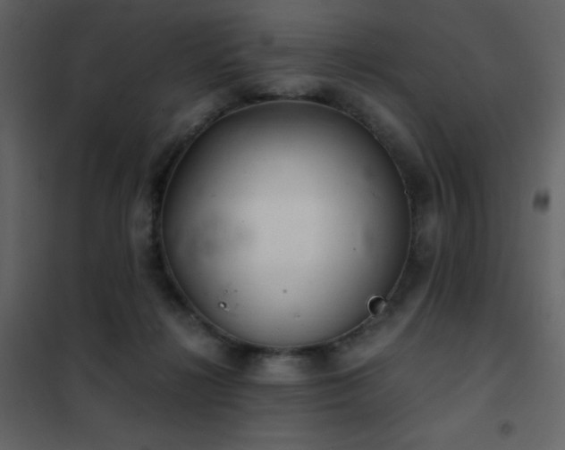 X0000102480268200808081312