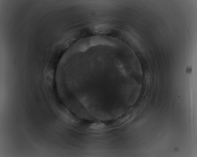 X0000102480271200808081312