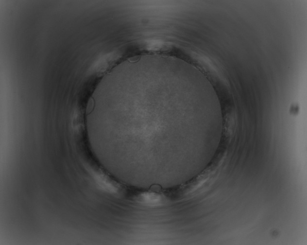 X0000102480272200808081312