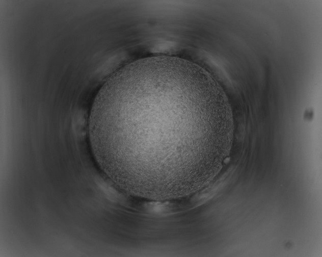 X0000102480273200808081312