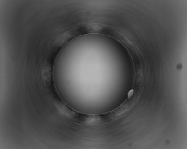 X0000102480274200808081312