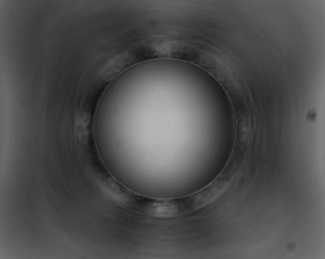 X0000102480275200808081312