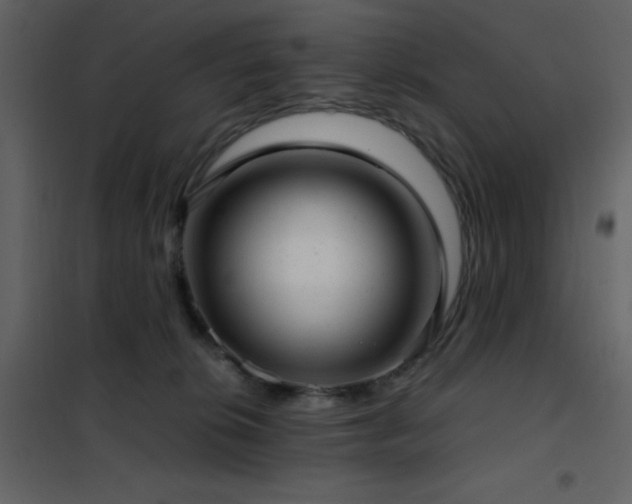 X0000102480276200808081312