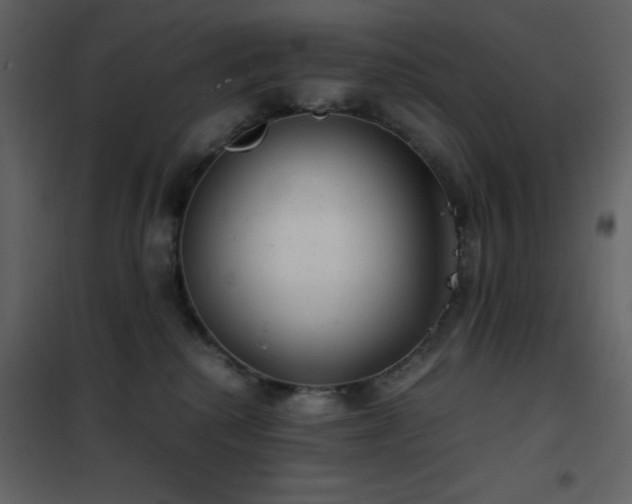 X0000102480280200808081312