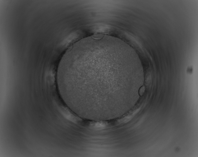 X0000102480282200808081312