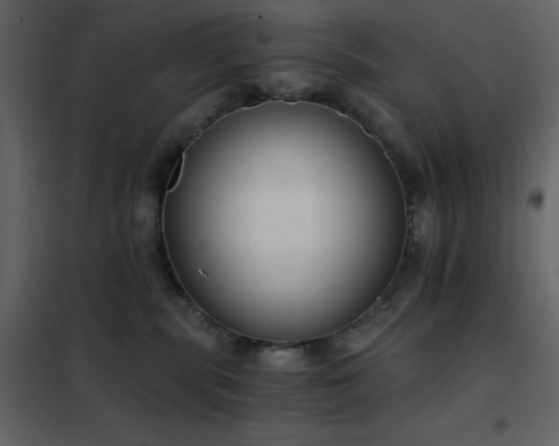 X0000102480283200808081312