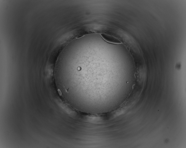 X0000102480284200808081312