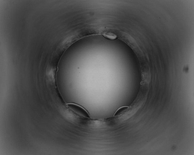 X0000102480286200808081312