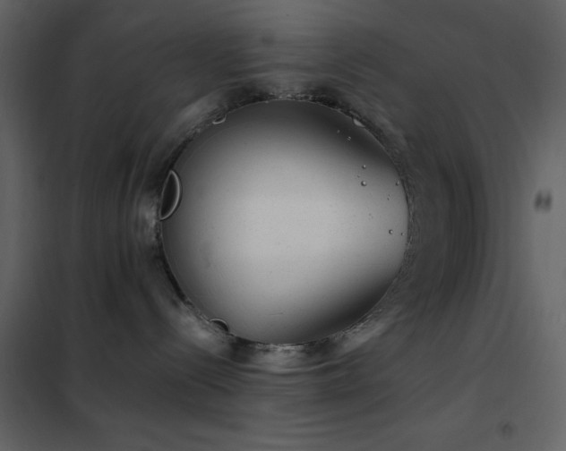 X0000102480288200808081312