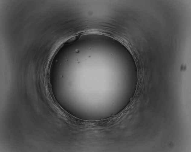 X0000102480289200808081311
