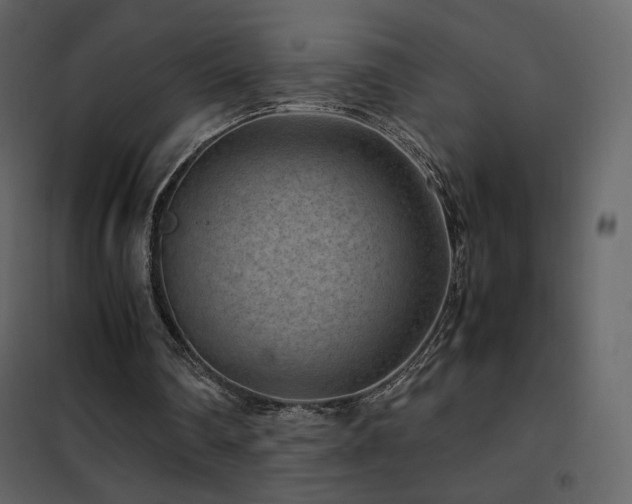 X0000102480290200808081311