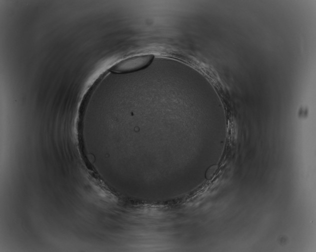 X0000102480292200808081311