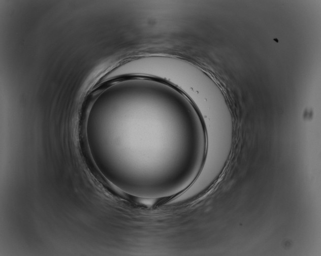 X0000102480293200808081311