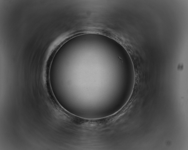 X0000102480294200808081311