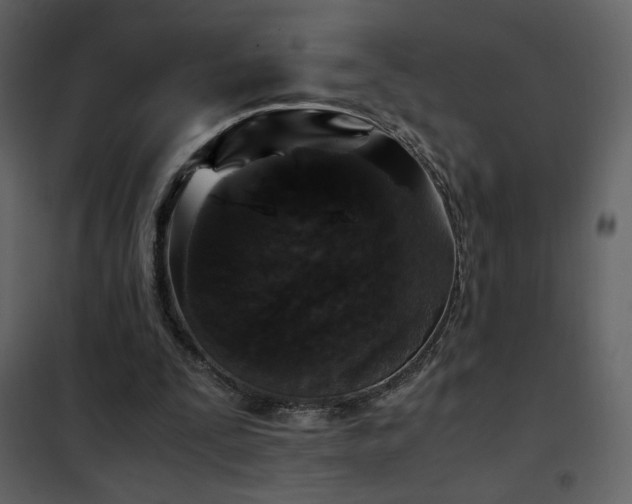 X0000102480295200808081311