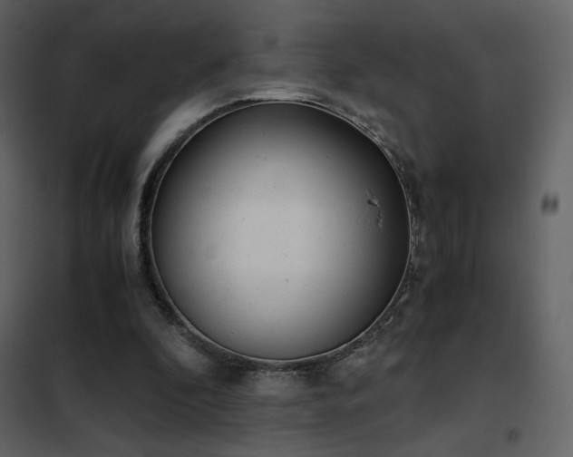 X0000102480296200808081311