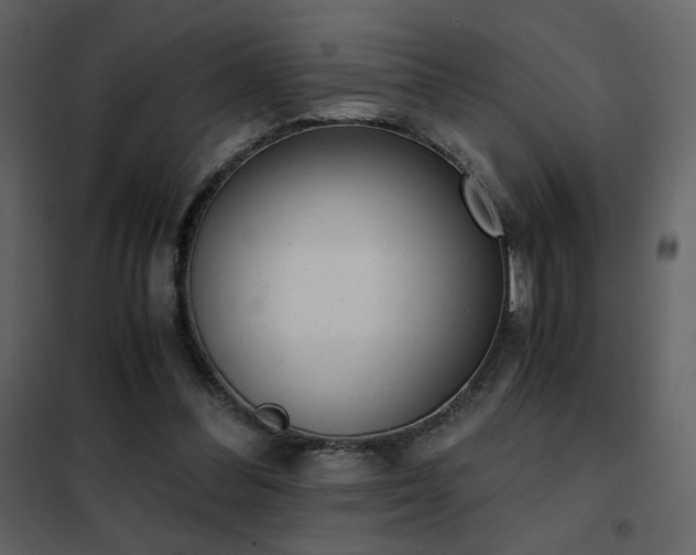 X0000102480300200808081311