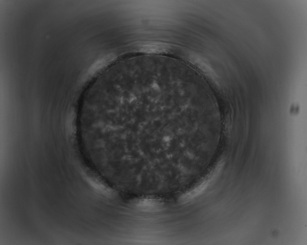 X0000102480303200808081311