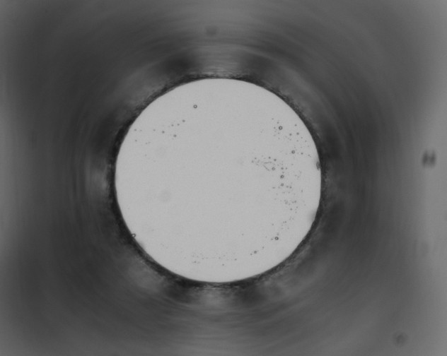 X0000102480305200808081311