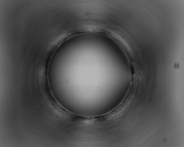X0000102480306200808081311