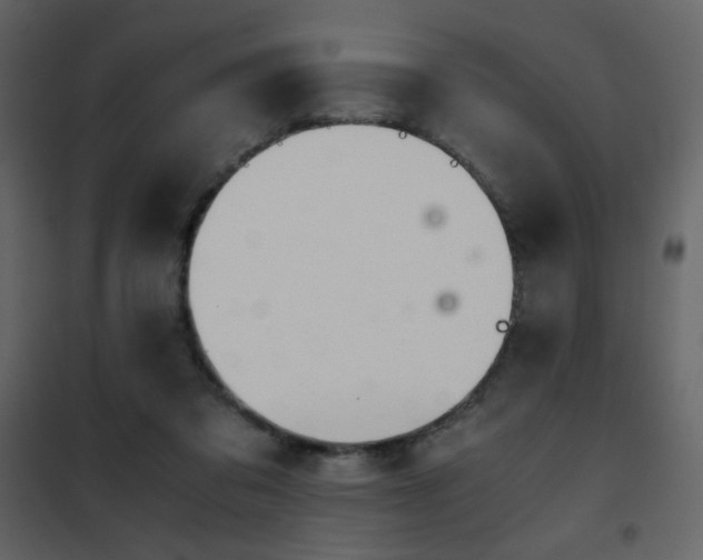 X0000102480309200808081311