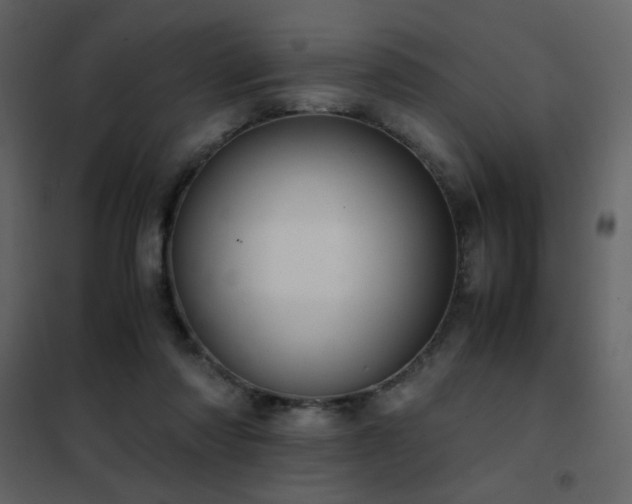 X0000102480310200808081311