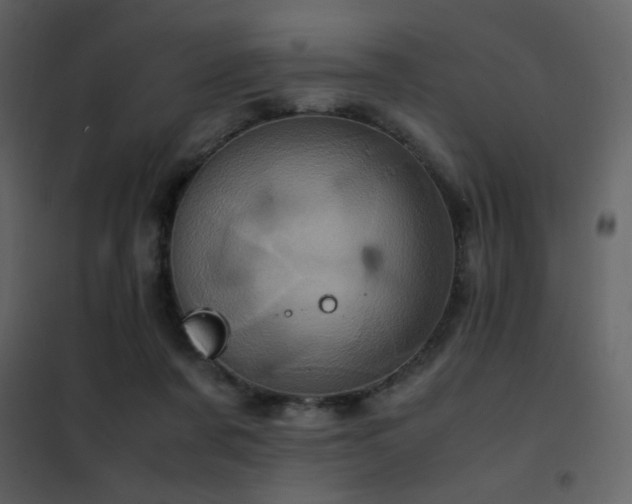 X0000102480311200808081311