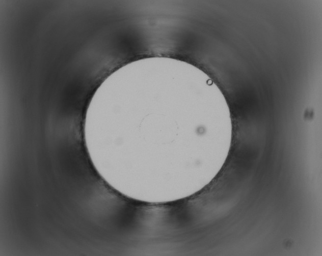 X0000102480313200808081311