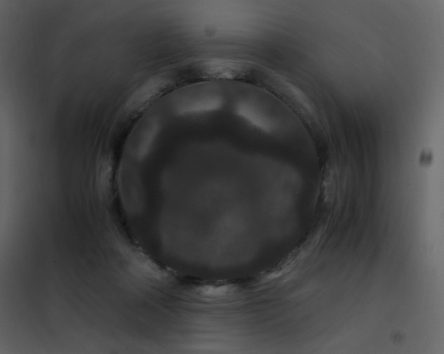 X0000102480314200808081311