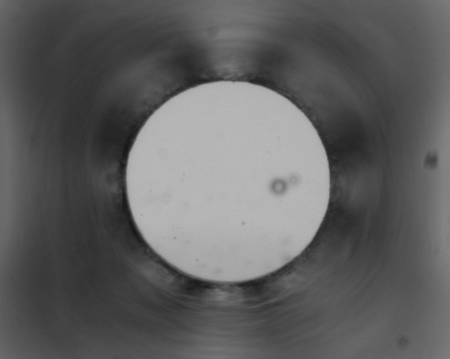 X0000102480317200808081311