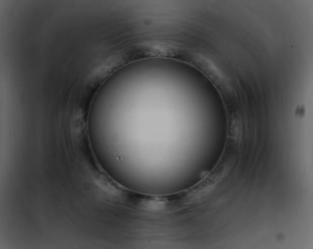 X0000102480318200808081311